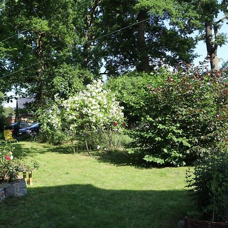 Hotel Mara Wendisch Evern Zewnętrze zdjęcie